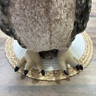 Melissa   Doug Owl Plush Large 17  Realistic Stuffed Animal