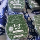 New Scentsy Wax Bar Melt Tart 3 2 Oz Alpine Escape  3   Sleigh Ride  1   4 Total