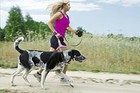 Dog Leash Retractable 16 5ft   Usa   Pet Auto Traction 