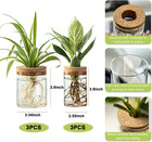 Plant Propagation Station hydroponic Glass Container Vase 2 Sizes Planter Propag