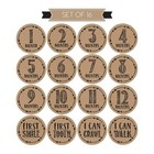 16 Rustic Baby Milestone Stickers  12 Monthly Photo Picture Props Girl Boy   