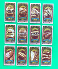 2024 Topps Allen Ginter Mini  Ballpark Bites Complete Set Of 30   Pickle  pizza
