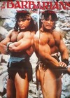 1987  the Barbarians  David   Peter Paul Original Media Home Video Store Poster