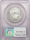 2006-w  100 American Platinum Eagle 1oz  9995  Pcgs Ms70  First Strike Label