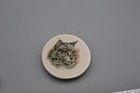 Vintage Ceramic Cat Magnet Refrigerator Kitty Cat Lady