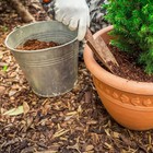 Eucalyptus Wood Mulch Natural Pest Repellent Garden Ground Cover