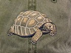 Tortoise Embroidered Cotton Cap New 