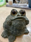 Toad Green Frog Garden Patio Indoor Outdoor Statue Figurine 5  X 3 5    X  7    Nice