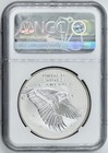 2017 P American Liberty 1 Oz Silver Medal Reverse Proof Ngc Pf69 Ucam Er