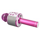 Professional Bt Wireless Microphone Karaoke Speaker Ktv Music Player Singin Fbrv