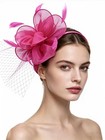 Elegant Women s Fascinator Hat With Feathers  Veil   Hair Clip For Tea Party  Co