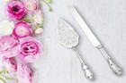 Elegant Silver Cake Serving Set Wedding Party Cake Knife And Server 2pcs