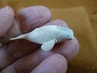 Whal-w139 Little Beluga Whale Of Shed Antler Figurine Bali Detailed Love Whales