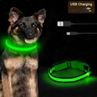 Rechargeable Led Dog Collar Night Safety Glowing Adjustable Flashing Pet Collar