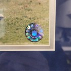 Barry Sanders Autographed   Framed Detroit Lions Photo In-person Signature