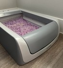 Scoopfree Disposable Crystal Cat Litter Tray Lavender 4 3lb 6 Pack Easy New