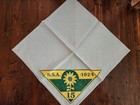 Vintage 1924 Boy Scouts Of America Neckerchief Bsa