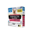 Advecta 3 Flea   Tick Treatment Prevention For Small Dogs 5-10lbs 4 Month Supply