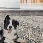 Loombloom Multi Sizes Modern Black   White Hand Tufted Geometric Wool Area Rug