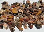 One Pound Petrified Wood Circle Cliffs  Blue Forest  Henry Mountains  Sweet Home