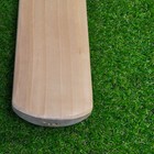 Vintage Cricket Bat Duncan Fearnley Gold F5 English Willow Handmade Sh New