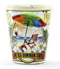 Virginia State Mural Shot Glass Shotglass
