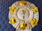 The Forum   Southern California Exposition Horse Show Ribbons Awards Rare