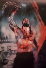Roman Reigns    Wwe Autographed 3d Lenticular Poster                