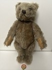 Vintage 14    Steiff Original Teddy 1950s Mohair No Ear Button Detached Chest Tag