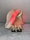 Vintage Conch Shell Seashell Table Lamp Ambient Night Light Nautical Ocean 6 5  