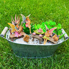 Fairy Garden - Miniature Figurines   Accessories Starter Kit - Fairy Garden Set