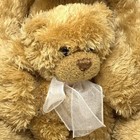 Animal Alley Mama Bear With Cub Plush Toys R Us Tan Vintage 2000 Stuffed Animal