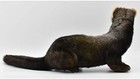 European Polecat Stuffed Animals 7827 Hansa Free Ship W tracking  New From Japan