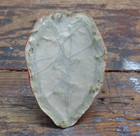 Post Wwii Vintage Us Army 25th Infantry Division Bullion Patch Japanese Made