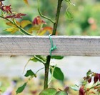 Grow1 Garden Soft Twist Tie 16 Feet - 10 Packs Bulk Price Sea Of Green Growing