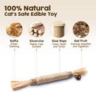 Catnip Toy Sticks Natural Silvervine Blend Chew Treats For Cats Teeth Cleaning