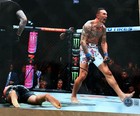 Max Holloway Signed Autographed Ufc Mma Blessed 8x10 Photo Bas Coa Beckett