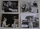 Trog 1970 Original Still Set First Release 34 Photos Sci-fi Caveman Monster Ape