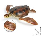 Sea Turtle Animal Toy 11  Pvc Action Figure Doll Kids Toys Party Gifts