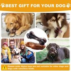 Indestructible Dog Chew Toy     Tough Nylon Bone For Large Breeds  Beef Flavor