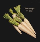 New   Set Of 6 Brown Paper Wrapped Foam Carrots   Ready To Finish - 6  Long