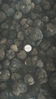 1 Kg Summer Truffle - It - 1st Choice - Tuber Aestivum Vitt  - Italy 