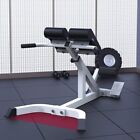 Roman Chair Lower Back Extension Bench Reverse Hyperextension Machine Fitness