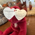 Rare W  Errors Ty    valentina    The Red Bear Beanie Baby-1998 1999 Tags 