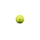 12-inch Fastpitch Softball Bucket  1 Dozen Leather Softballs