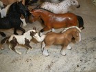 Huge Lot Of 30 Schleich Horses Unicorns Jaguar