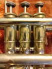 Olds Ambassador Cornet
