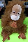 Vintage 1989 Plush Creations Ollie The Orangutan Monkey Baby W Binkey 22  Rare 