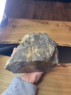 Estate Find Unidentified Rock Petrified Wood  Agate  Faced Display Specimen 6lb 