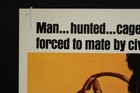 Planet Of The Apes 1968 Poster Insert Rolled 14 X 36 Nss Charlton Heston Jacobs